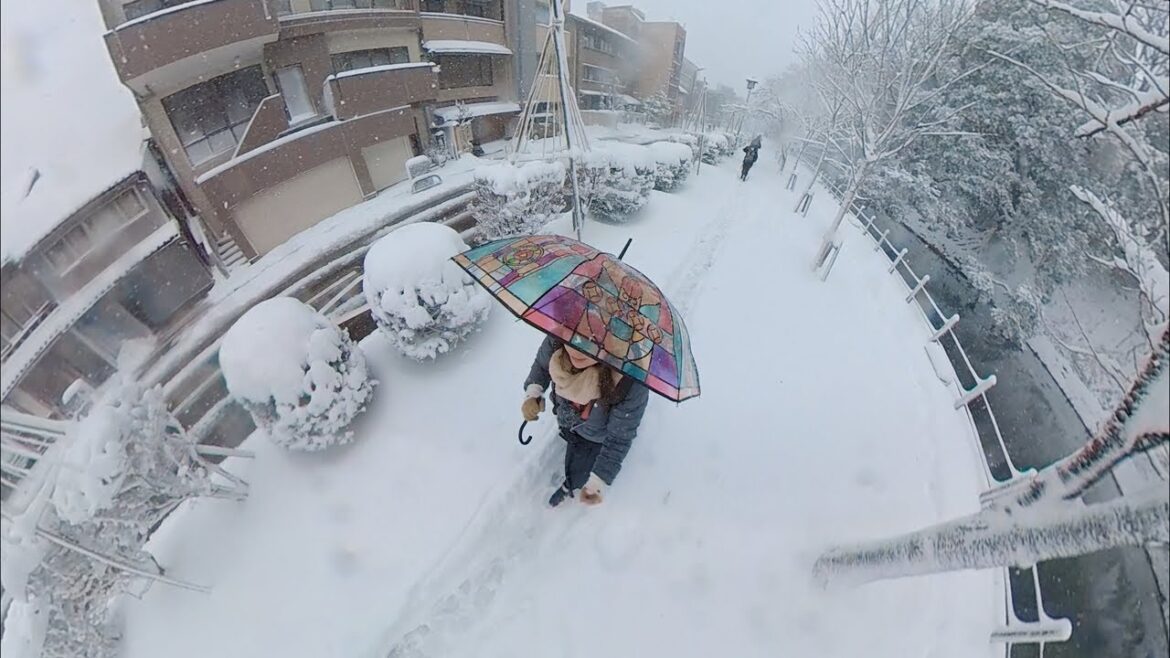🇯🇵😨日本暴風雪！現場直擊❄️🥶