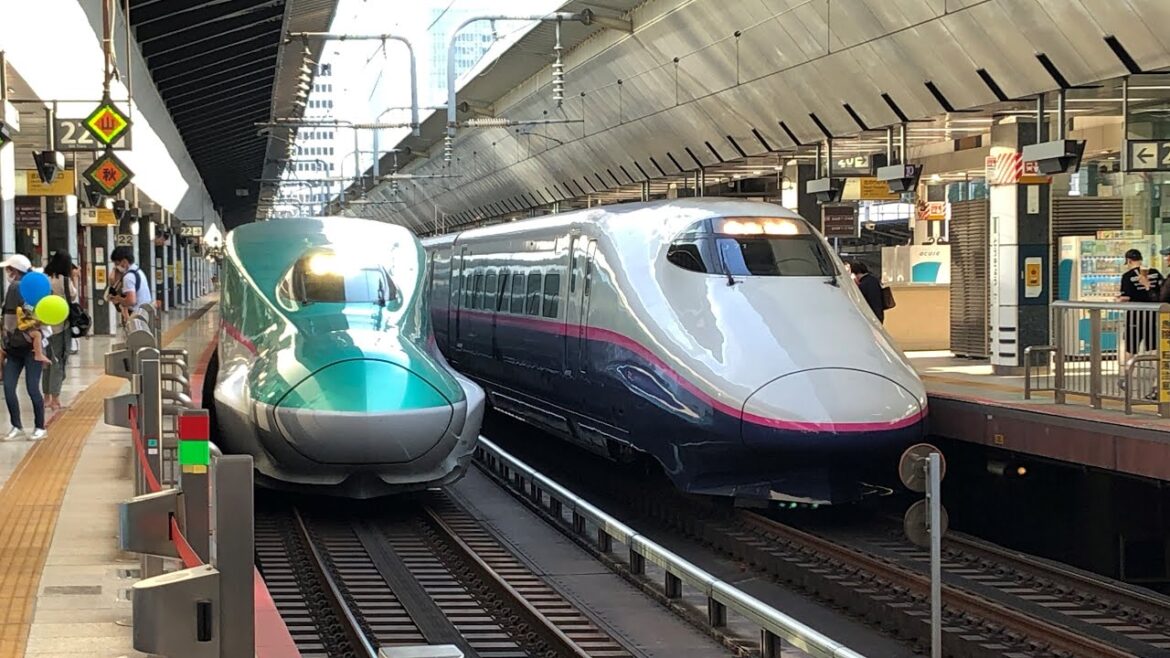 Trains at Tokyo/東京 (incl. Shinkansen!) 02/08/2022 (1080p HD)