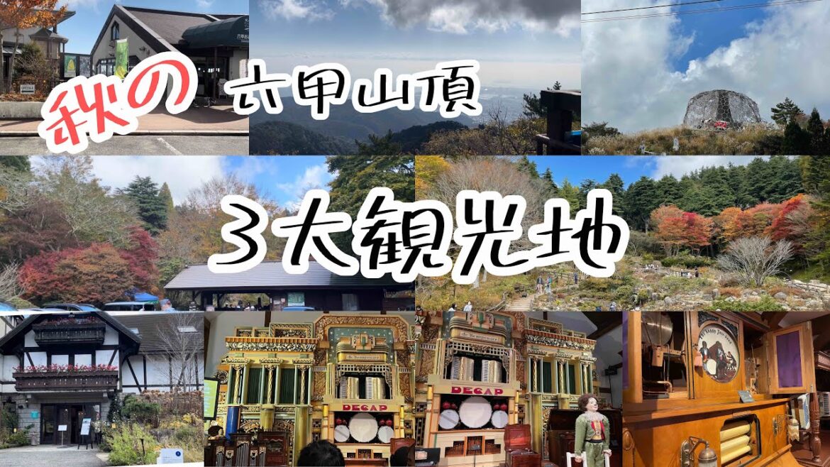 六甲3大観光地を堪能‼️