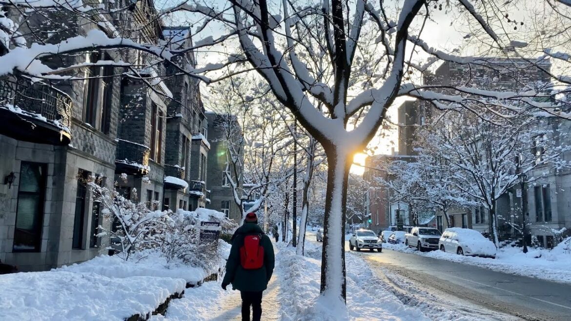 Snowstorm means a White Christmas for Canada | Walking in the snowy city after Argentina's victory