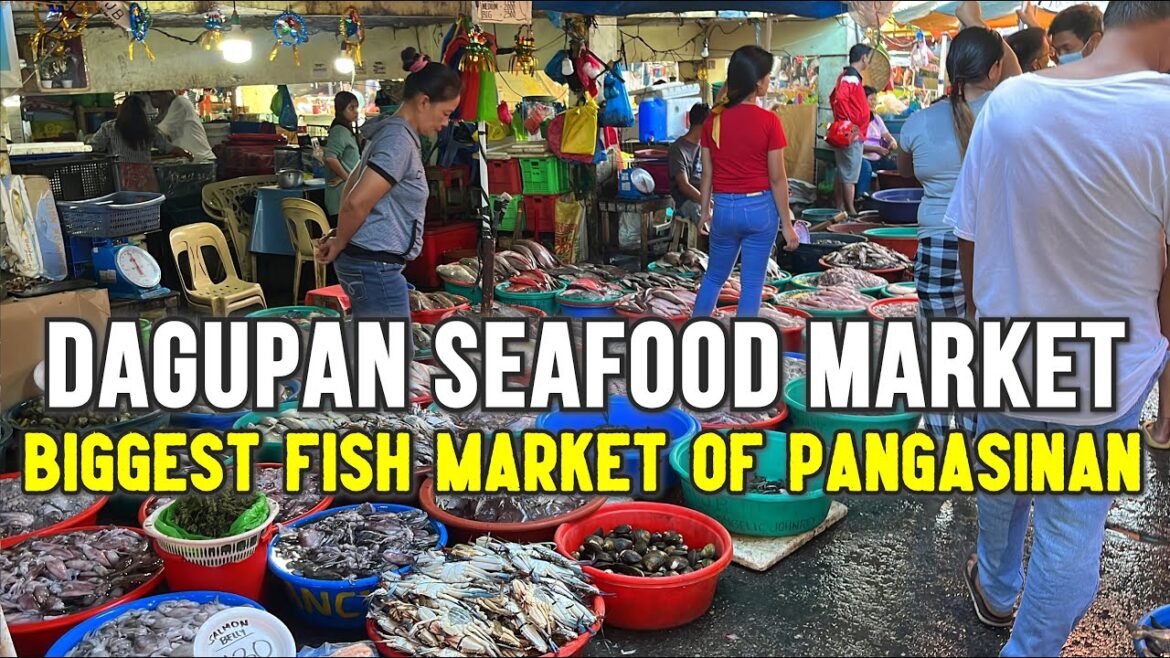 DAGUPAN SEAFOOD MARKET TOUR This DECEMBER - BIGGEST Fish Market of Pangasinan | Dagupan PALENGKE!