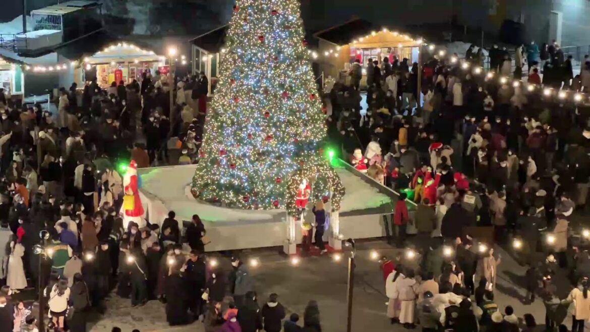 【ライブ配信アーカイブ】青森 アスパムのクリスマスと花火を見よう12/24