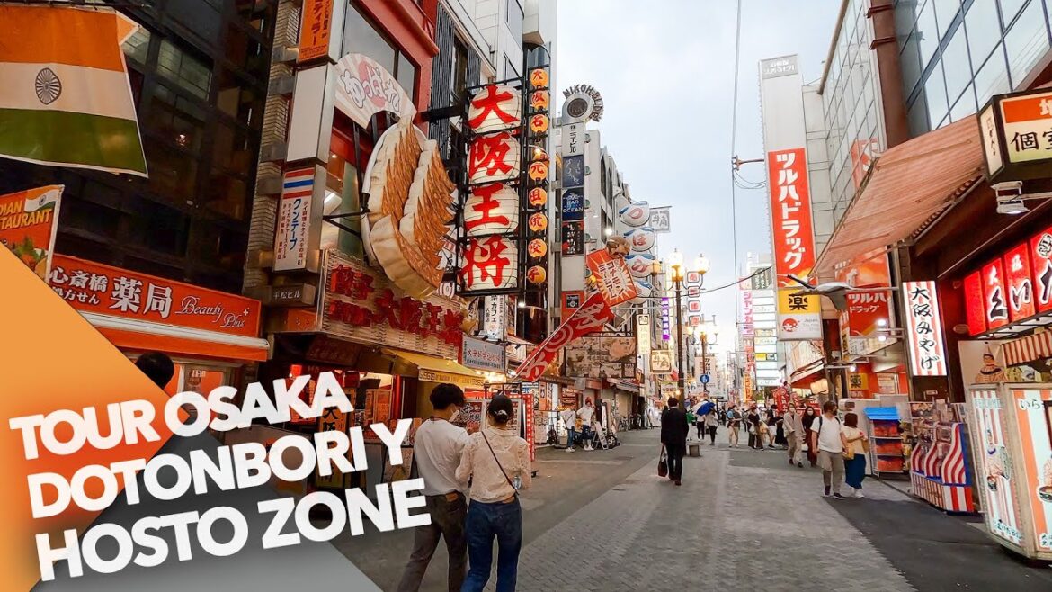 TOUR REMOTO EN EL CENTRO LÚDICO MÁS IMPORTANTE DE OSAKA EN DOTONBORI Y HOUZENJI YOKOCHO TOUR REMOTO EN EL CENTRO LÚDICO MÁS IMPORTANTE DE OSAKA EN DOTONBORI Y HOUZENJI YOKOCHO