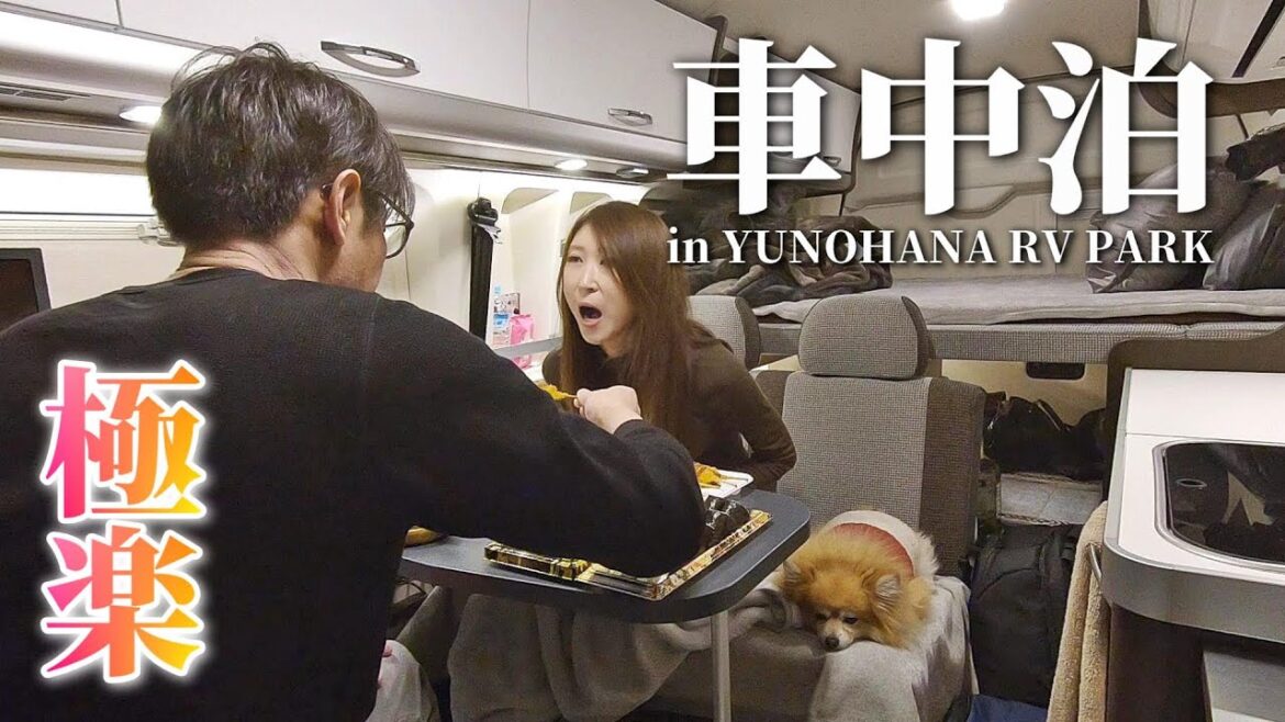 【車中泊】真冬の超高規格RVパークで引きこもり車中泊 in湯の華アイランド｜キャンピングカー快適化｜ハイエース7型／トイファクトリーバーデン