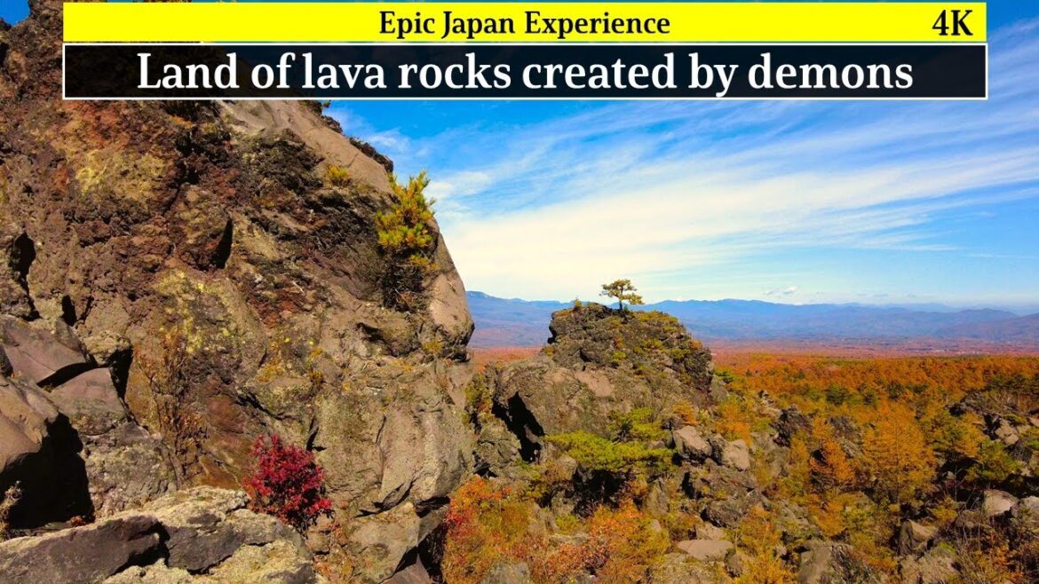 4K: Japan travel, mysterious land created by lava,demon. Also  beautiful autumn pine trees.