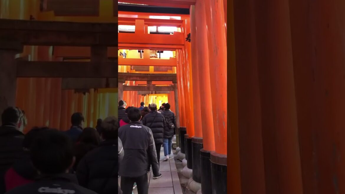 伏見稲荷大社・千本鳥居（京都）／Fushimi-Inari(Kyoto)#shorts