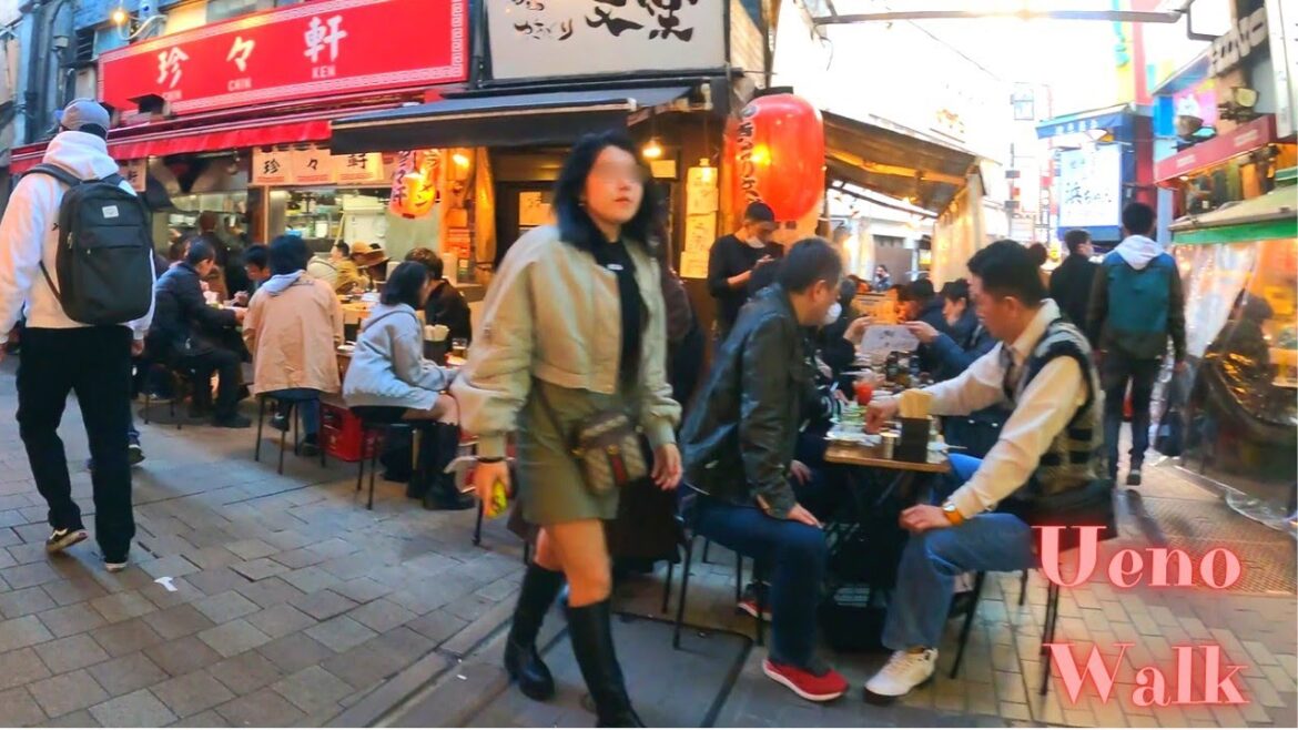 Pub Street. Ueno Tokyo in Japan walking tour. 【4K】12.2022 Pub Street. Ueno Tokyo in Japan walking tour. 【4K】12.2022