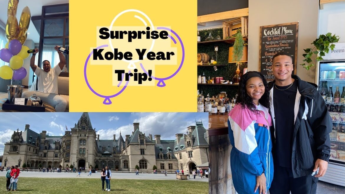 Braxton's SURPRISE BIRTHDAY GETAWAY TO ASHVILLE🎊 Kobe Year Celebration VLOG💛💜