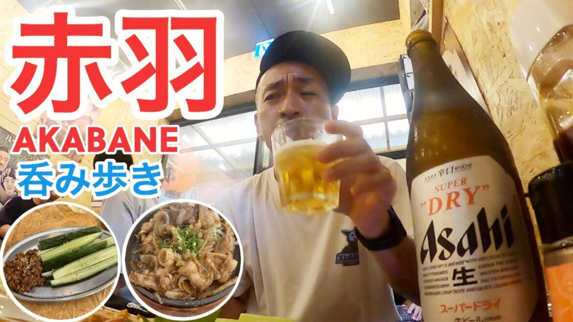 【赤羽】月曜から夜更かしの聖地！居酒屋巡りで呑み歩き！【東京Vlog vol.16🍺】TOKYO  AKABANE
