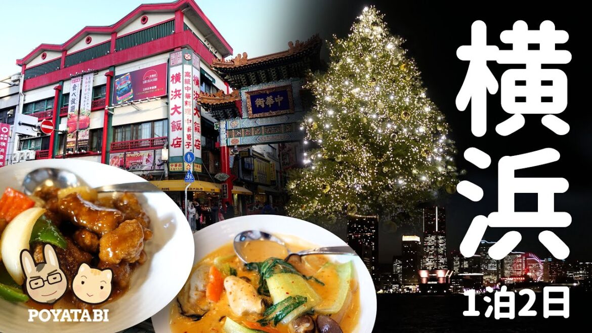 横浜デート / 横浜大飯店 飲茶食べ放題 オーダービュッフェ / 赤レンガ倉庫 クリスマスマーケット / アートイルミネーション「ヨルノヨ」/ ディスプレイミュージアム【ぽや旅】#横浜 #グルメ 横浜デート / 横浜大飯店 飲茶食べ放題 オーダービュッフェ / 赤レンガ倉庫 クリスマスマーケット / アートイルミネーション「ヨルノヨ」/ ディスプレイミュージアム【ぽや旅】#横浜 #グルメ