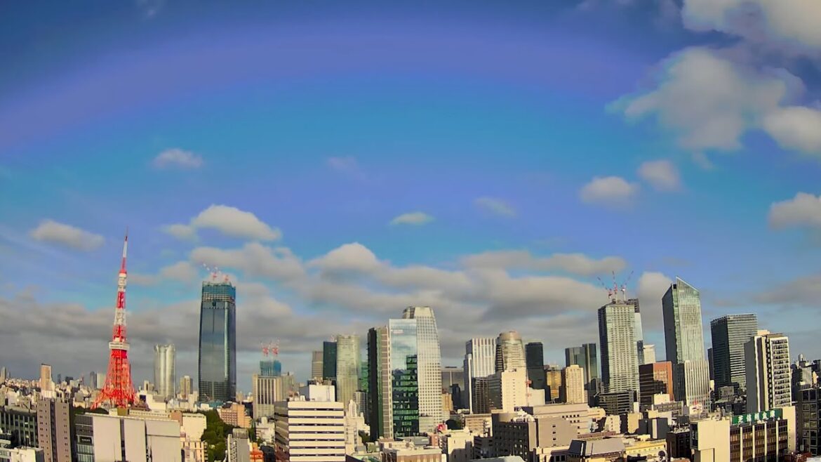 【4K 東京のいまの空】東京タワーと麻布台ヒルズ/2022.12.22 Live cam Azabudai Hills and Tokyo Tower