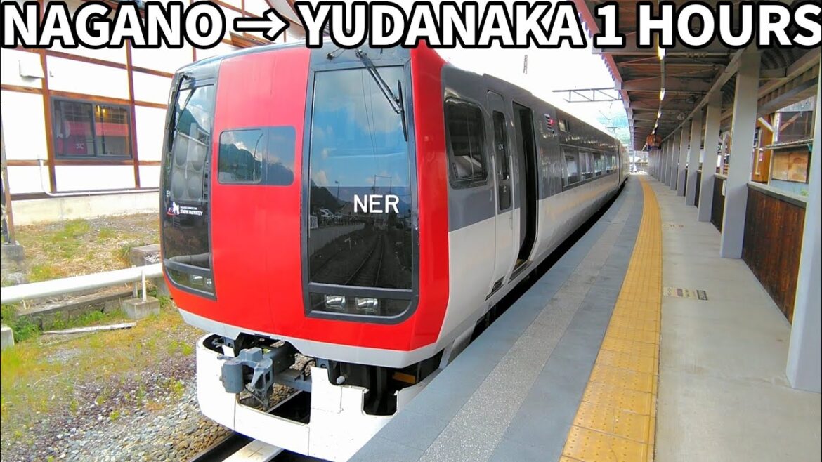 Former Narita Express to go to hot springs Nagano Electric Railway  Limited Express SNOW MONKEY