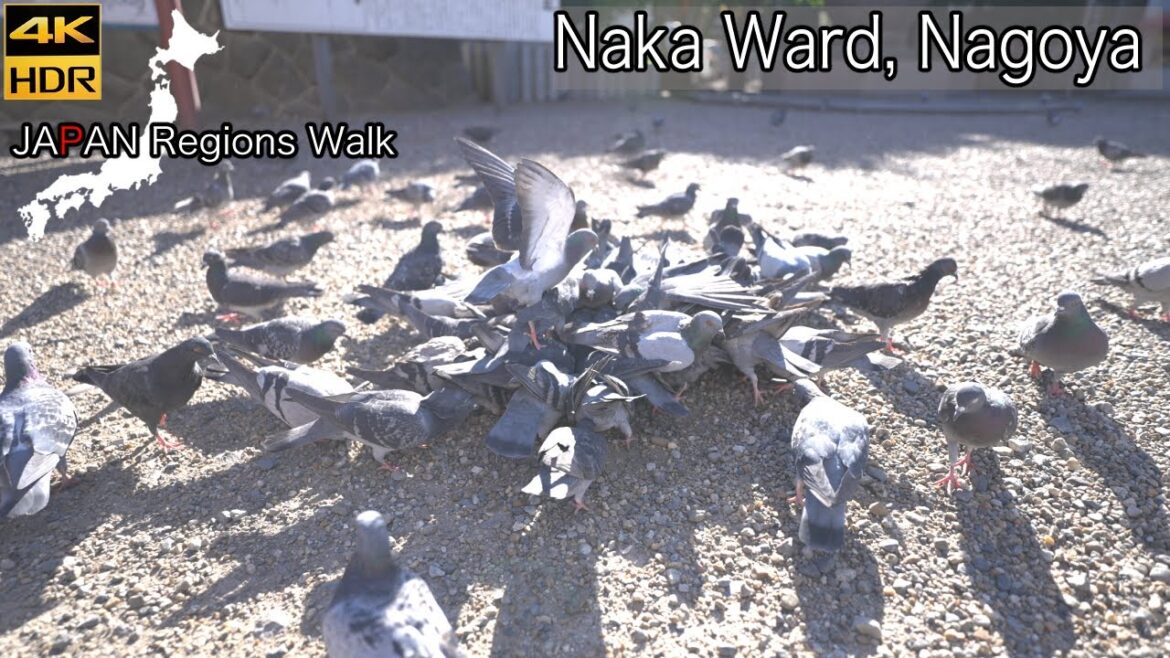 From Osukan Non Station to Kamimaezu Station | Naka Ward, Nagoya | 4K HDR | 名古屋市中区大須