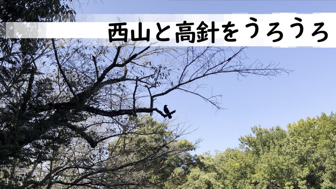 西山と高針をうろうろ(Explore the Nishiyama and Takabari)|名古屋市名東区|街歩き 西山と高針をうろうろ(Explore the Nishiyama and Takabari)|名古屋市名東区|街歩き