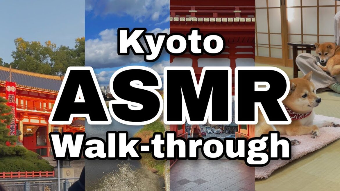 Day Trip in Kyoto! | ASMR Lofi Vlog Day Trip in Kyoto! | ASMR Lofi Vlog