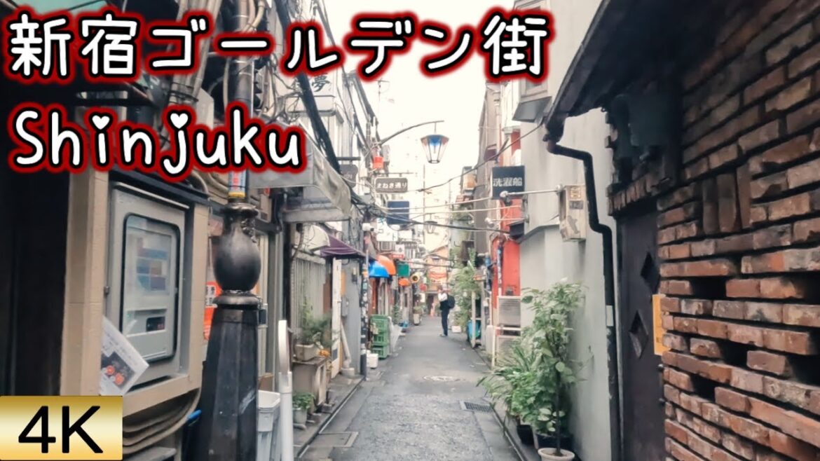 【N村の好きな場所】花園神社 ゴールデン街 思い出横丁 【4K60fps】