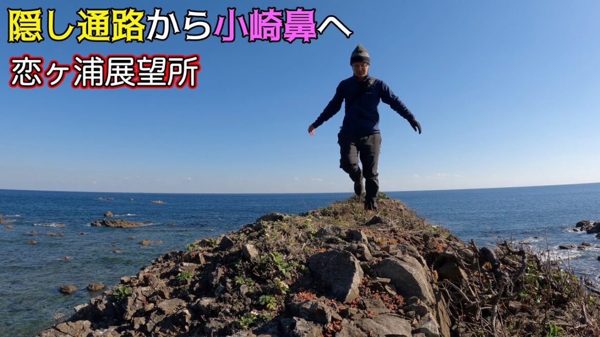 ② 小崎鼻・恋ヶ浦展望所へ!またもや隠し通路を行く!2022/12/20【宮崎県串間市】 ② 小崎鼻・恋ヶ浦展望所へ!またもや隠し通路を行く!2022/12/20【宮崎県串間市】