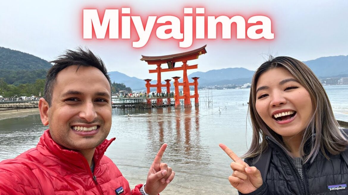 We got attacked by Deers in MIYAJIMA JAPAN