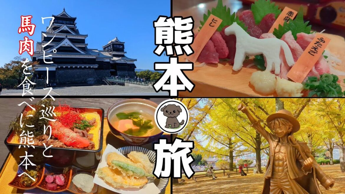 【熊本馬肉旅】まんぷく旅① 福岡・熊本 馬刺し／和牛めんたい重／熊本城／ワンピース  ルフィ像