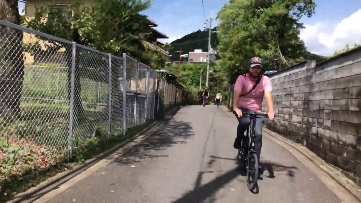 The best way to explore Kyoto