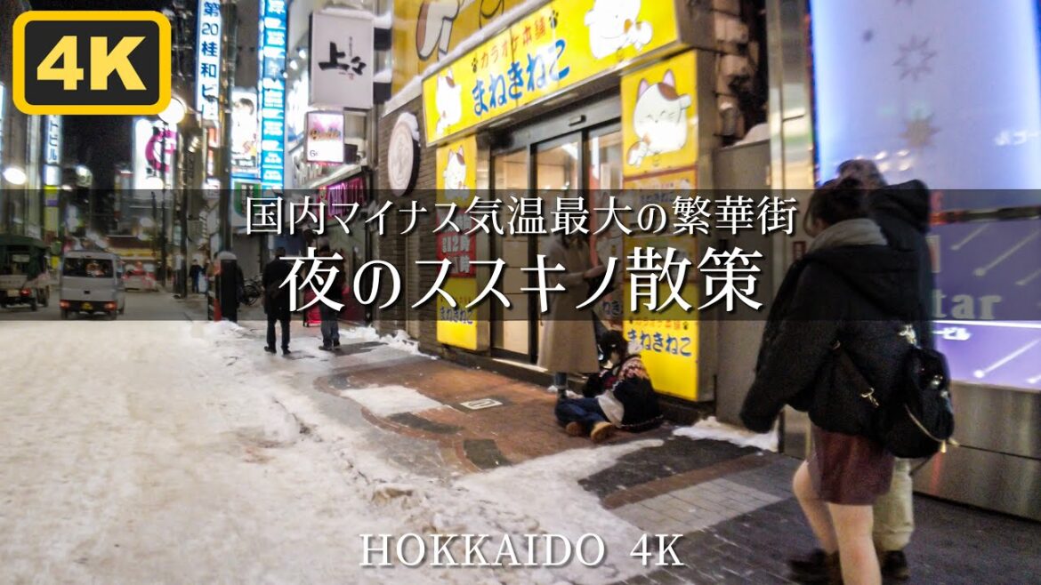 氷点下世界の繁華街 夜のススキノ散策 Hokkaido Sapporo night walk