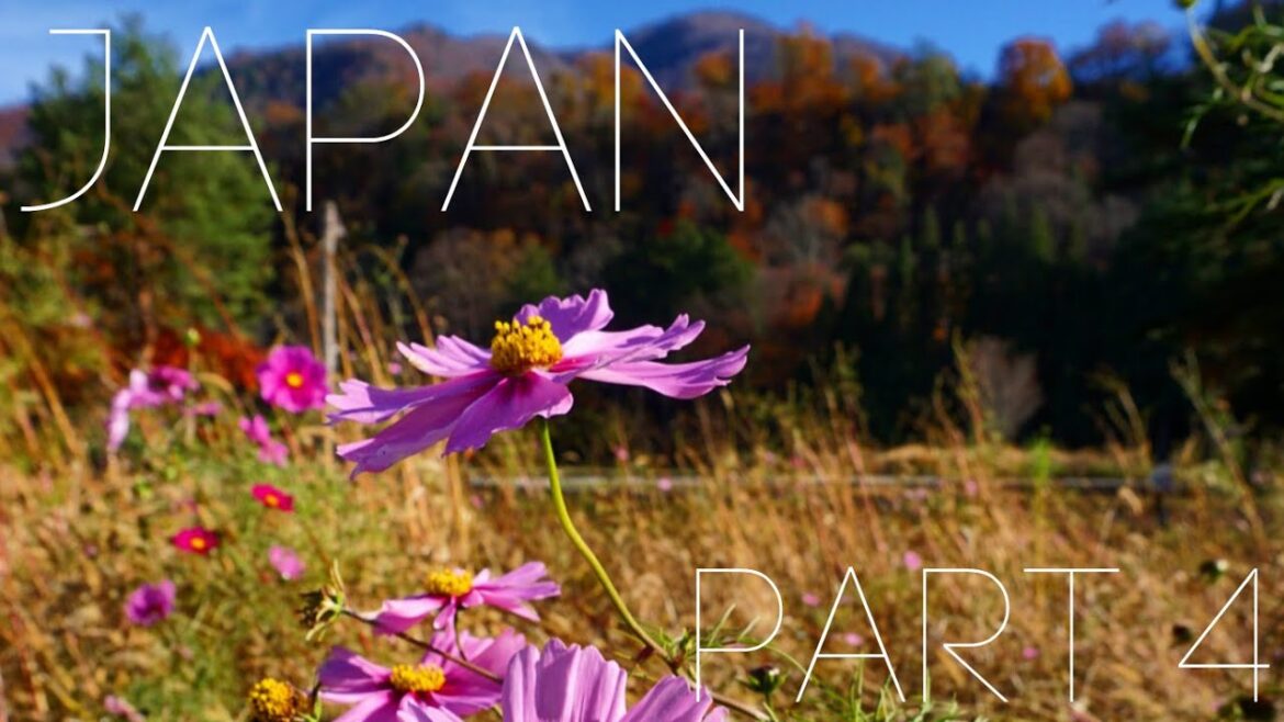 Japan Explored: Part 4 - Takayama, Kamicochi, Shirakawago!