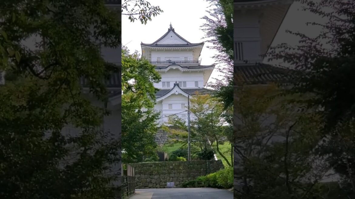 Hakone, Mt. Fuji, Odawara Castle highlights #日本