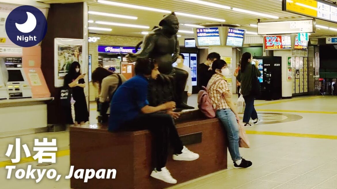 Tokyo: Koiwa (小岩) – Japan Walking Tour (July 3, 2021) Tokyo: Koiwa (小岩) - Japan Walking Tour (July 3, 2021)