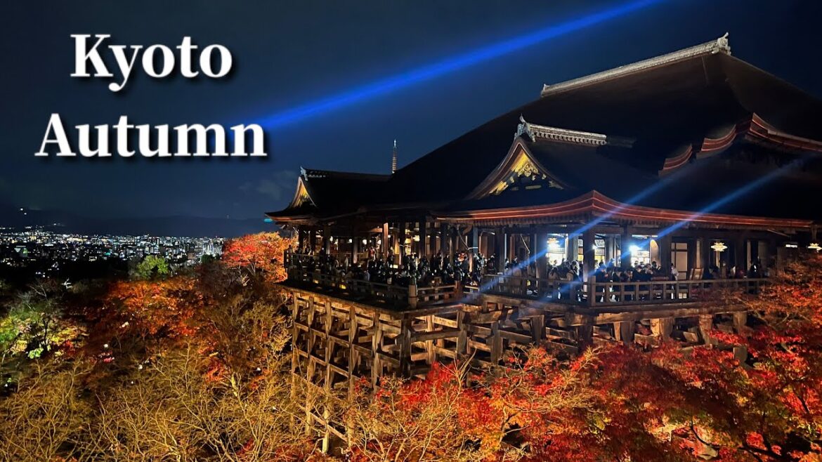 【Night】If you like temples👘 and shrine⛩, definitely check it out✨ Places you must see in Kyoto🍁 【Night】If you like temples👘 and shrine⛩, definitely check it out✨ Places you must see in Kyoto🍁