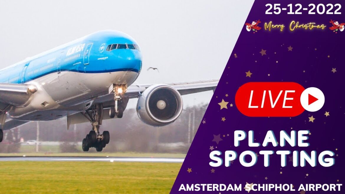 🔴 LIVE PLANE SPOTTING Rainy Conditions CLOSE UP ARRIVALS from Amsterdam Schiphol Airport  *DAY2*
