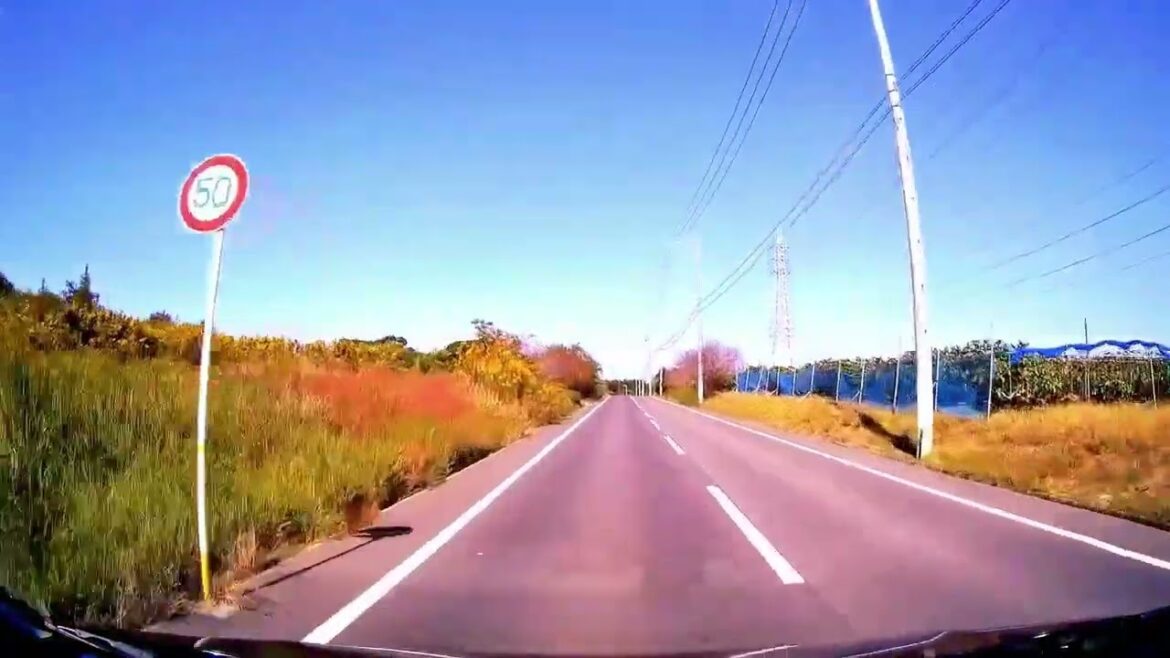 Japan Walking Tour,Japan Walking Tour, Japan Walking Tour,Japan Walking Tour,