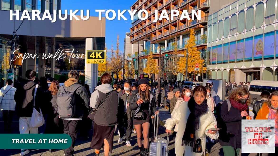 4k hdr japan walk | Sunny Walk in Harajuku Tokyo japan |Fashionable street for young Japanese girls