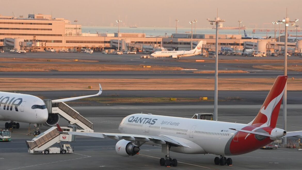 Tokyo Haneda Airport Live Stream Landings 羽田 Bird Strike Check-up and clean Tokyo Haneda Airport Live Stream Landings 羽田 Bird Strike Check-up and clean