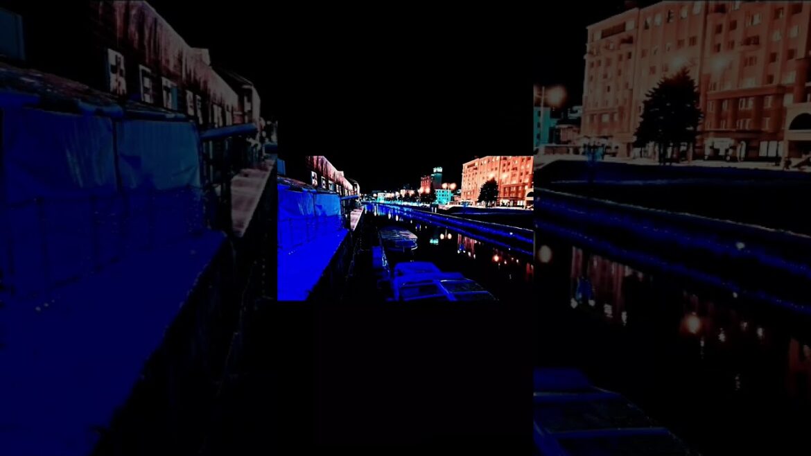 北海道小樽運河 #shorts #北海道 #ライブカメラ #北海道旅行 #札幌 #小樽 #夜景