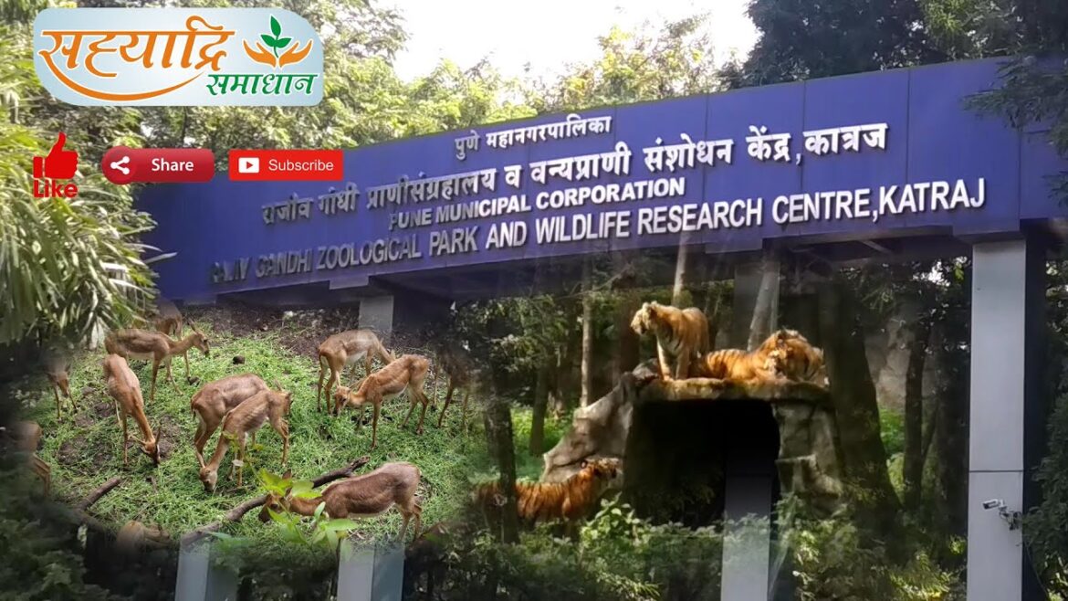 Rajiv Gandhi Zoological Park, Katraj Pune