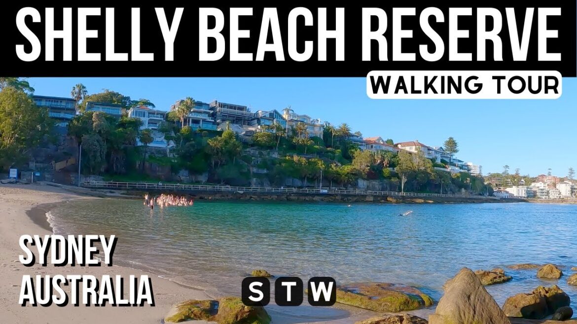 4K Shelly Beach Reserve Walking Tour π¦πΊ Sydney Australia 4K Shelly Beach Reserve Walking Tour π¦πΊ Sydney Australia