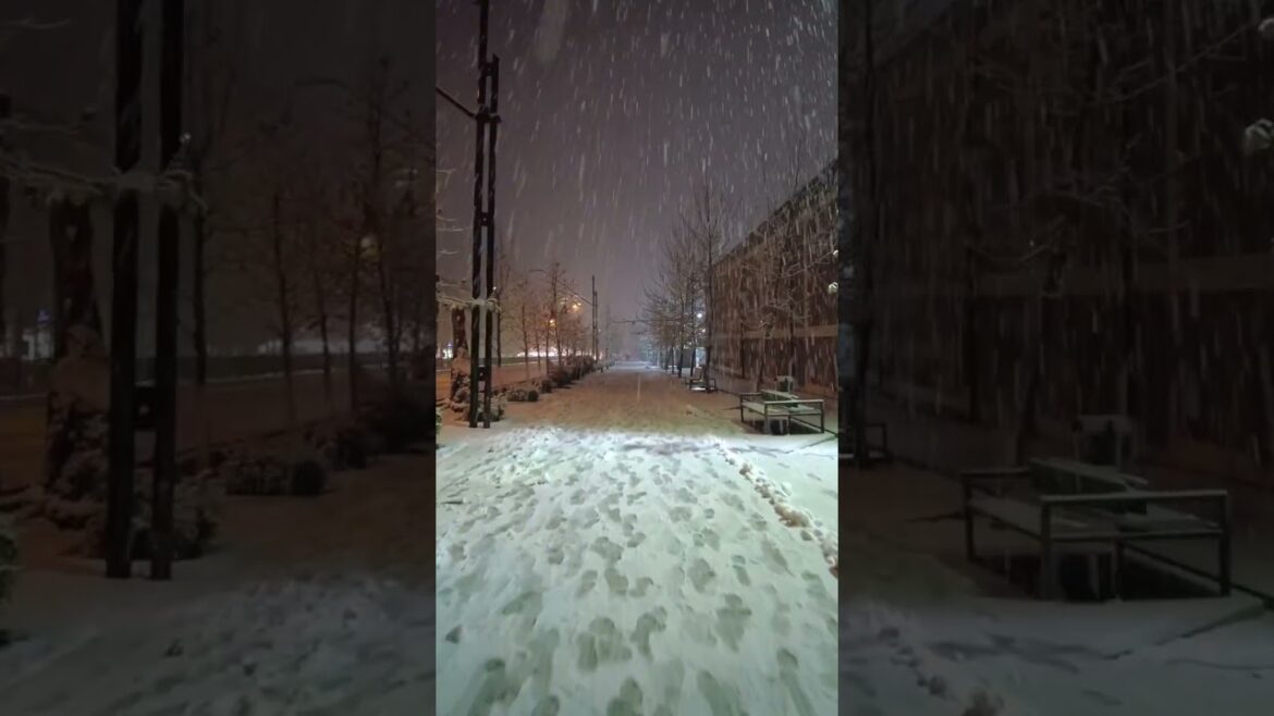 Beautiful Snowy Night in Tehran / برفِ امشبِ تهران، خیابون ولیعصر