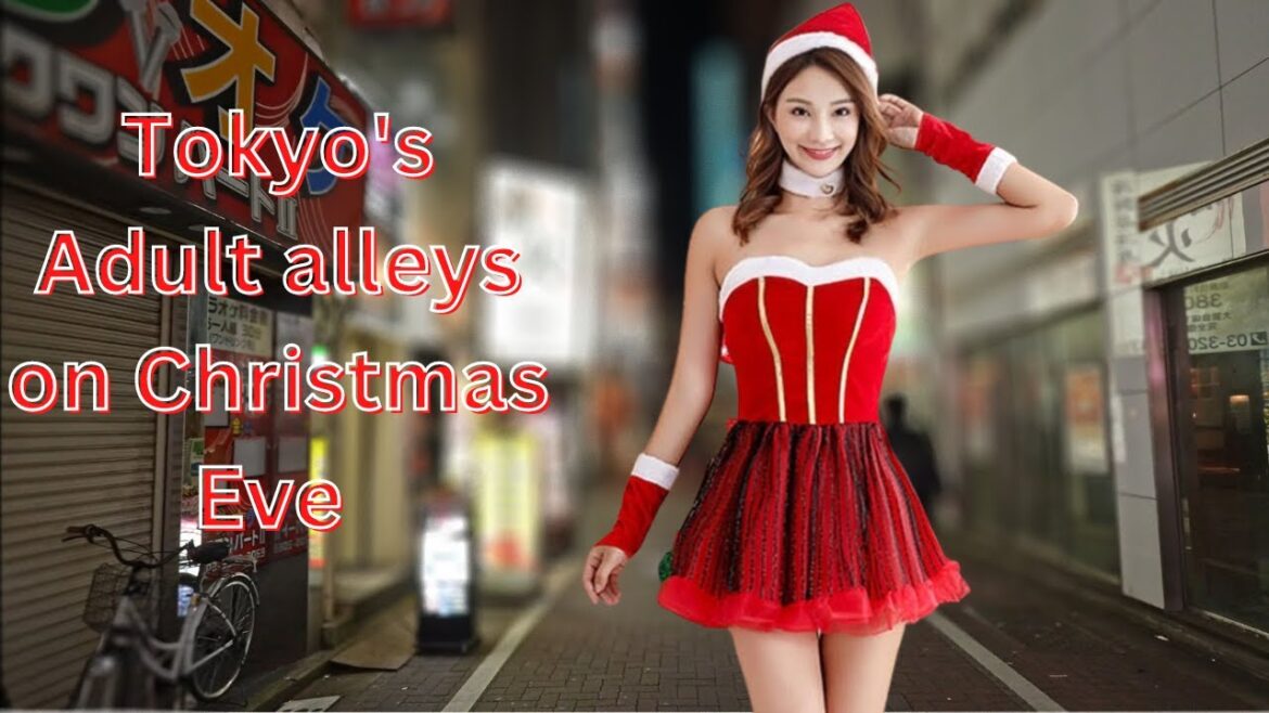 Tokyo's Adult Alley is Joy Paradise on  Christmas Eve