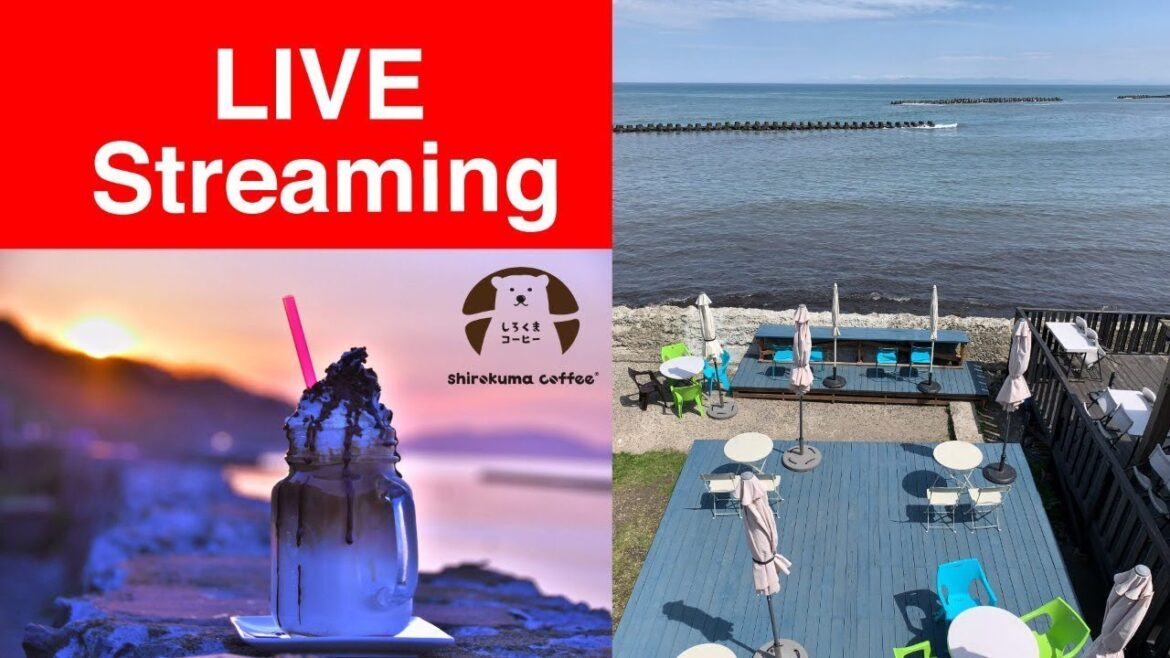 <ライブカメラ>しろくまコーヒー銭函店(小樽市北海道) Shirokuma Coffee Zenibako Hokkaido Live Camera <ライブカメラ>しろくまコーヒー銭函店(小樽市北海道) Shirokuma Coffee Zenibako Hokkaido Live Camera