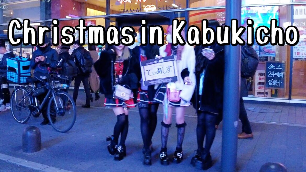 Japan Walk Christmas in Kabukicho Red Light District, Tokyo Walk｜歌舞伎町 東京 4K