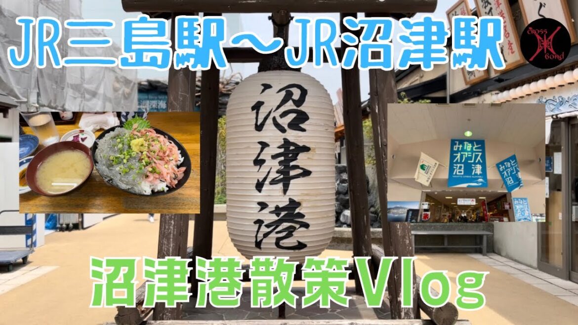 沼津港散策Vlog JR三島駅〜JR沼津駅まで電車にも乗ってみた