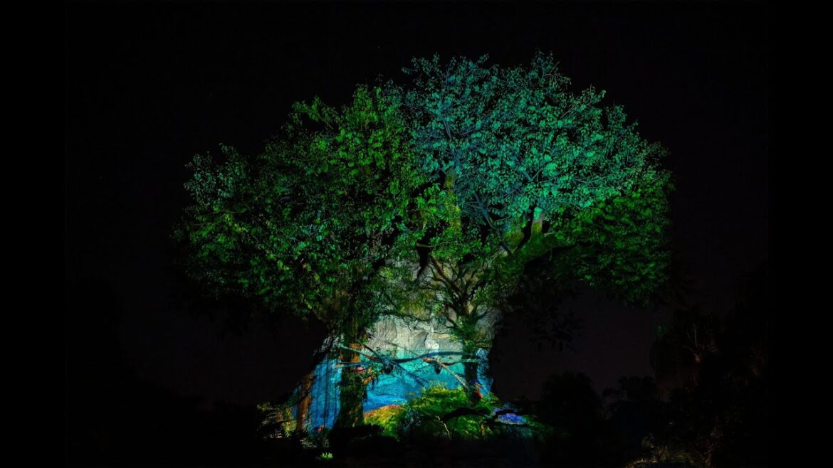 Avatar The Way of Water Tree of Life Awakening at Disney's Animal Kingdom Avatar The Way of Water Tree of Life Awakening at Disney's Animal Kingdom