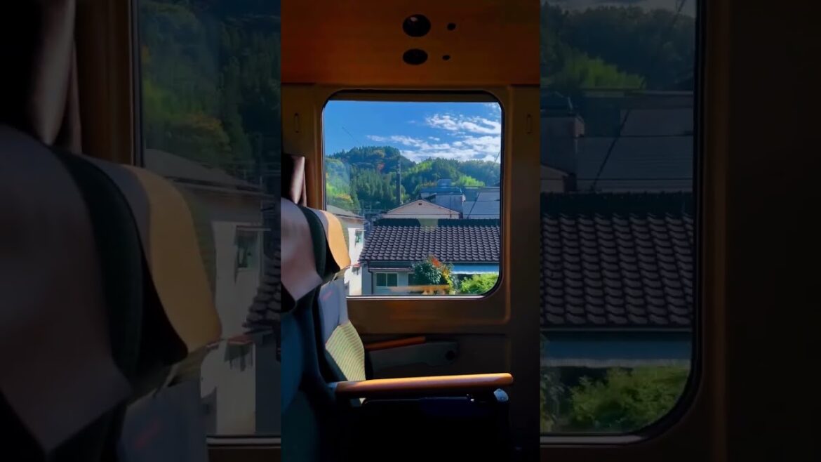 Japanese Train view 🇯🇵