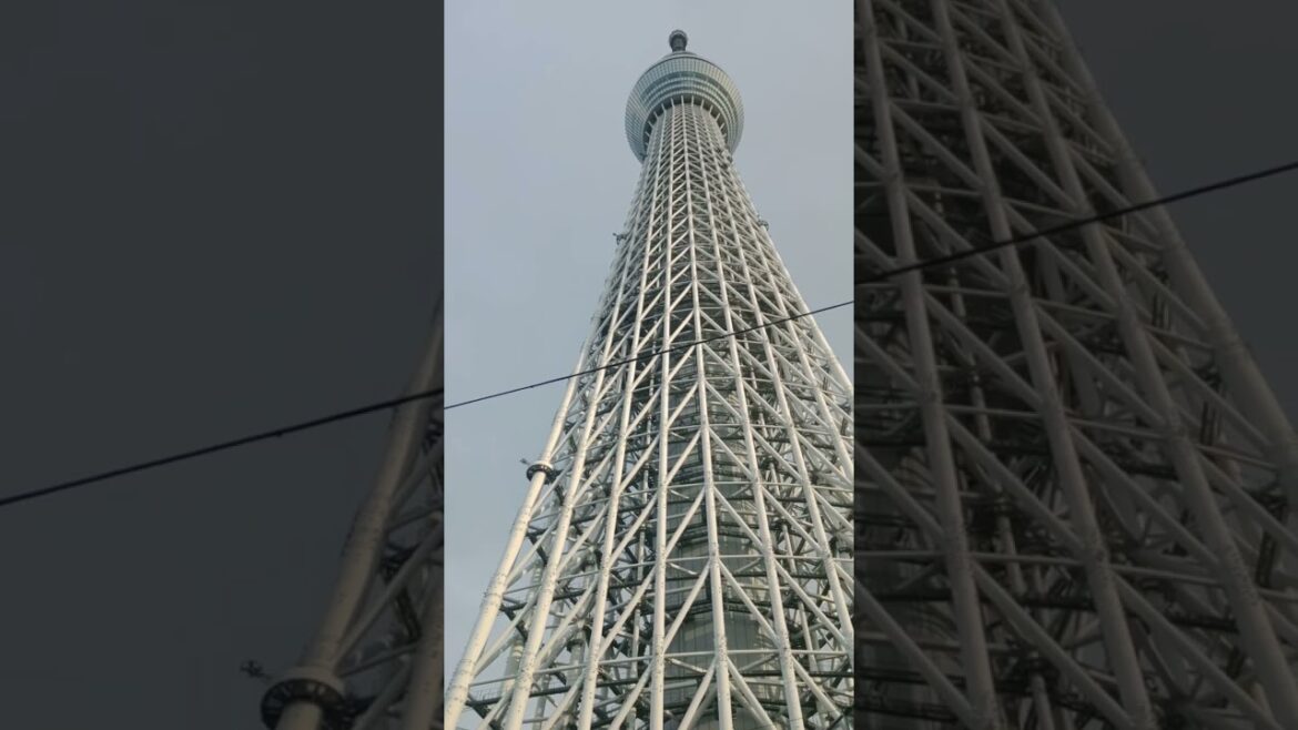 THE FAMOUS SKY TREE TOWER IN JAPAN