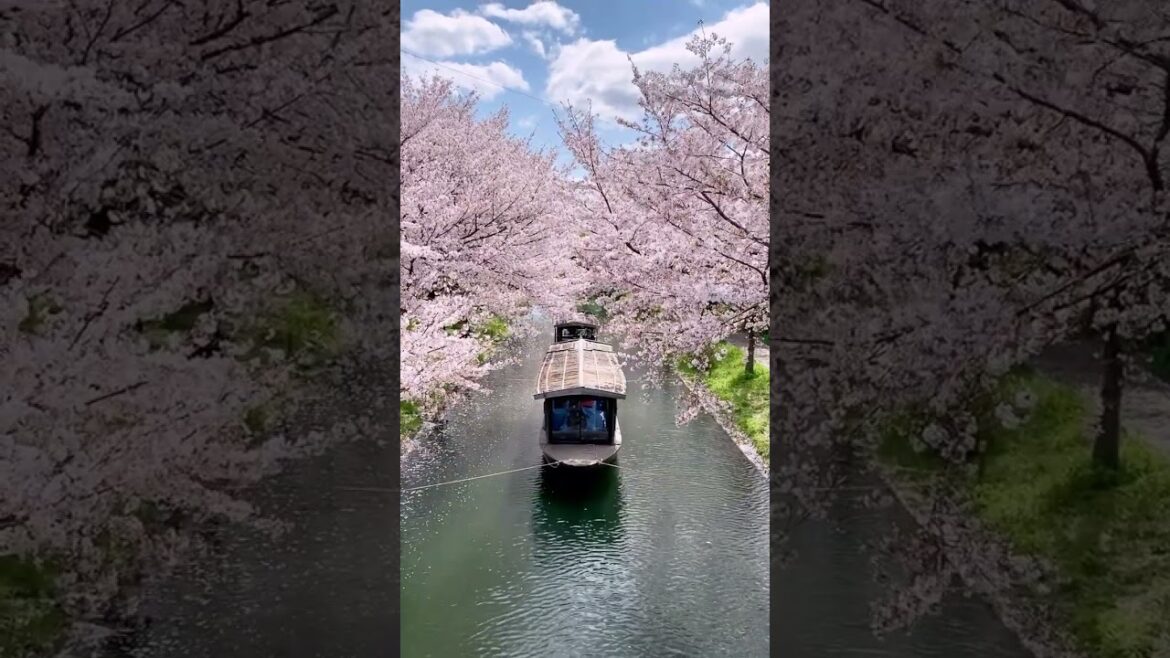 Beautiful destinations l Japan l beautiful places