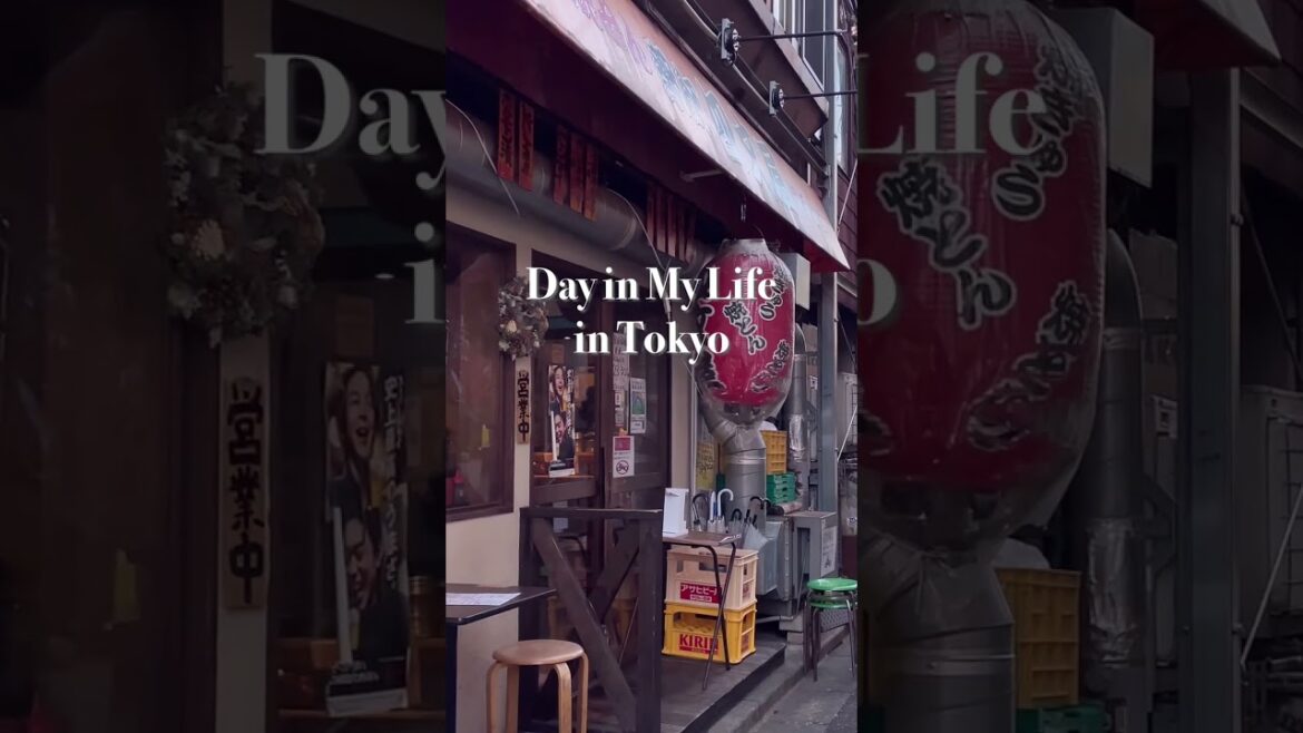 12월 도쿄 TOKYO JAPAN  2022