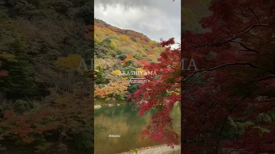 Arashiyama, Kyoto, Japan 🇯🇵