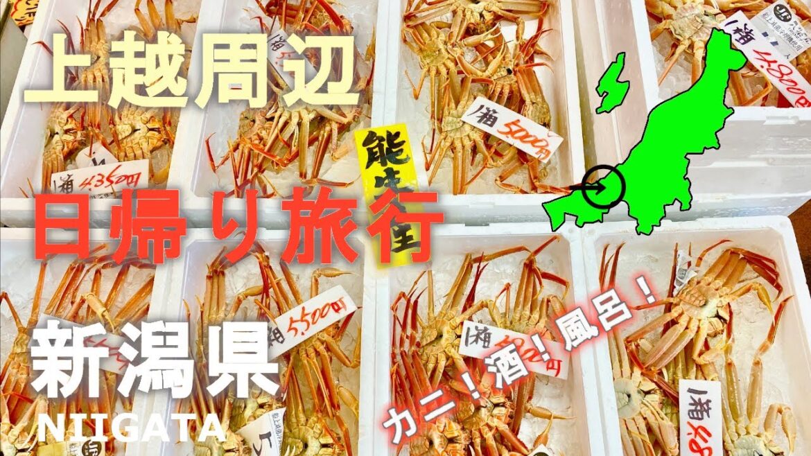 新潟県上越周辺に日帰り旅行！カニ！酒！無人温泉露天風呂！グルメ！道の駅！