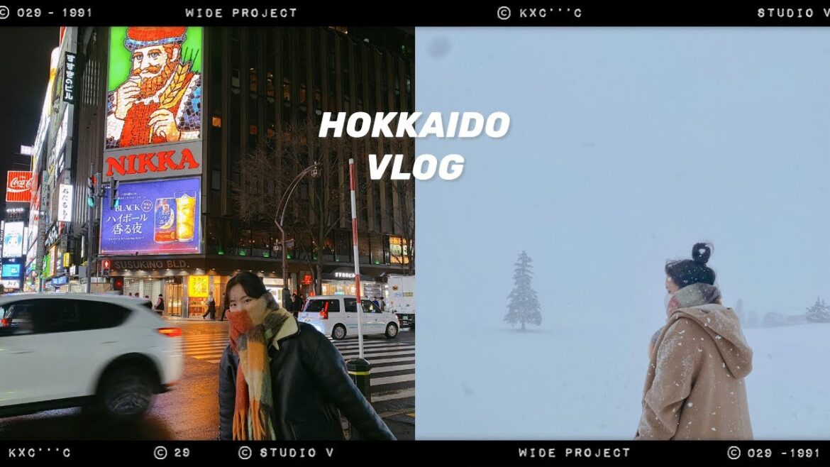 [홋카이도 겨울 여행] 삿포로, 오타루, 비에이에서의 3박 4일