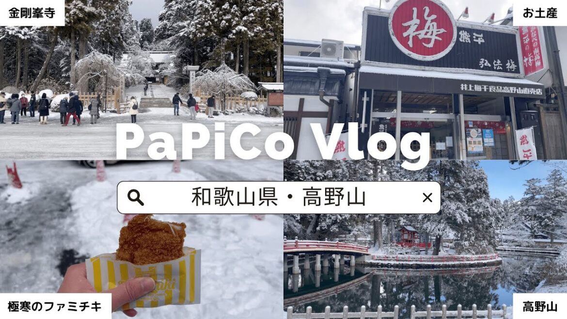 【高野山】初雪の金剛峯寺を観光したら景色が美しすぎた 【高野山】初雪の金剛峯寺を観光したら景色が美しすぎた